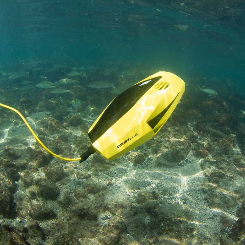 chasing dory explore underwater rov underwater