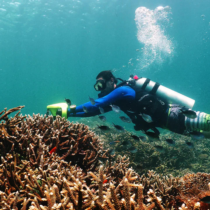 Sea Scooters