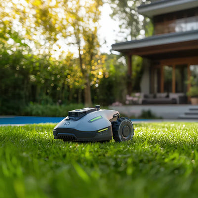 Home & Garden