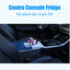 ACOPOWER LiONCooler Mini Solar Powered Car Fridge Freezer, 29 Quarts