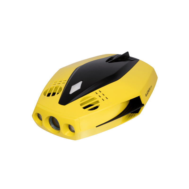 Chasing Dory Explore underwater rov
