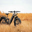 Rambo Pursuit FS 3.0 Step-Thru - 1000W - 48v 15ah - 30mph